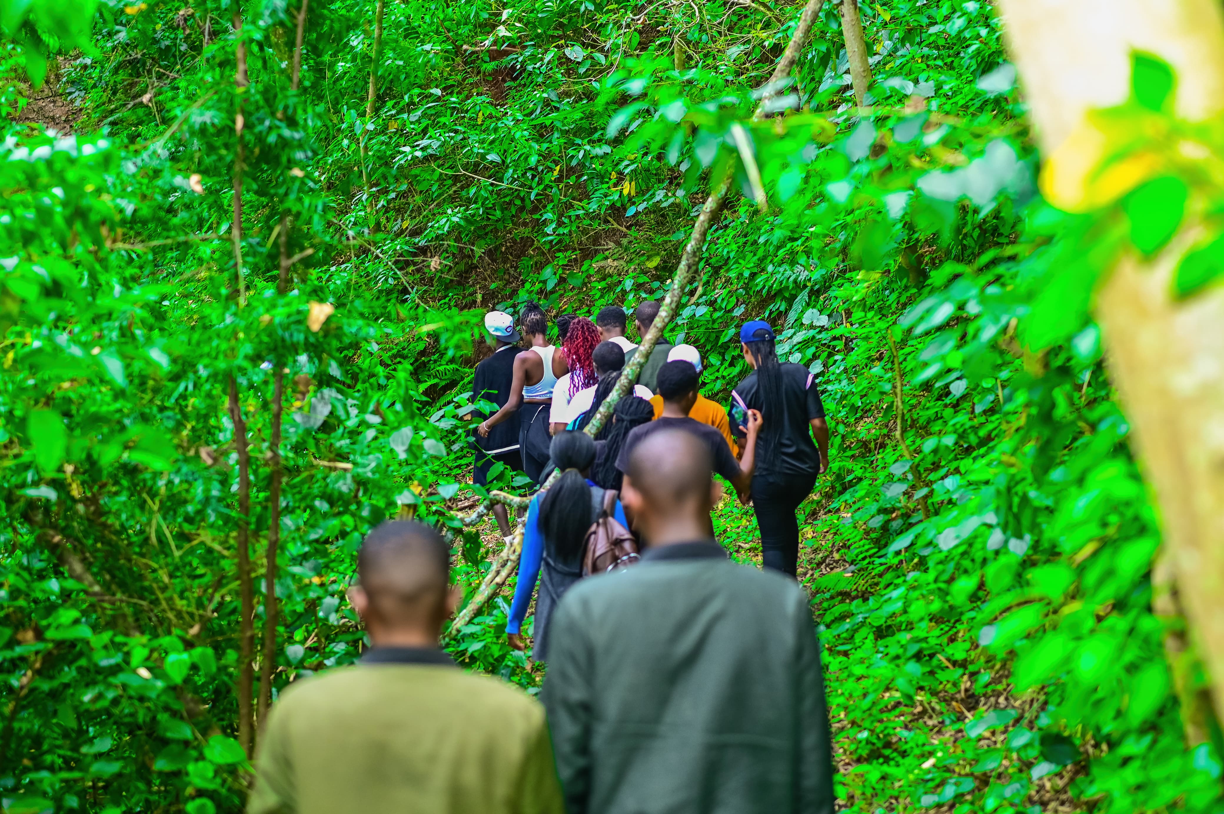 The Consent Hiking Crew